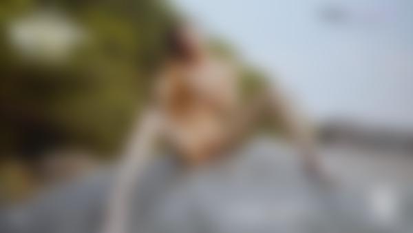 Screen grab #9 from the movie Ivan and Olli Jungle Sex