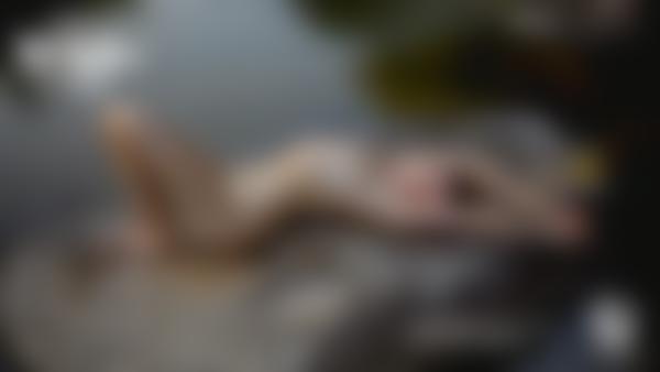 Screen grab #12 from the movie Ivan and Olli Jungle Sex